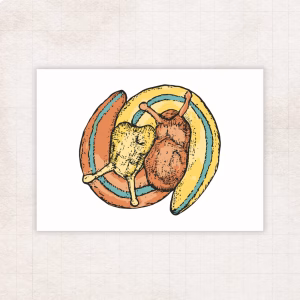 A colorful block print of two banana slugs wound together